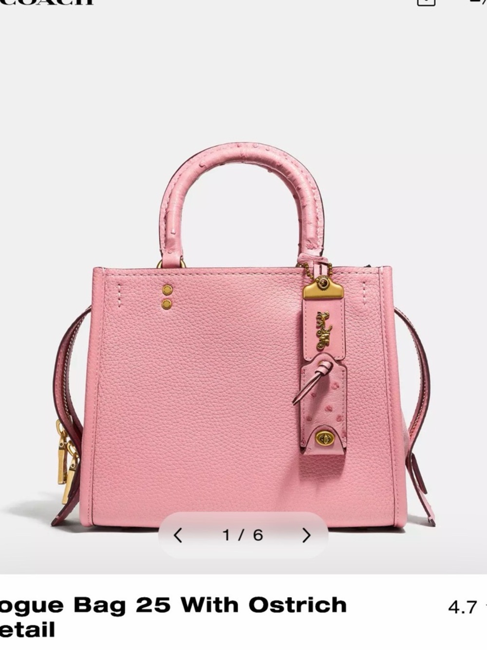 ISO Coach Rogue 25 with Ostrich